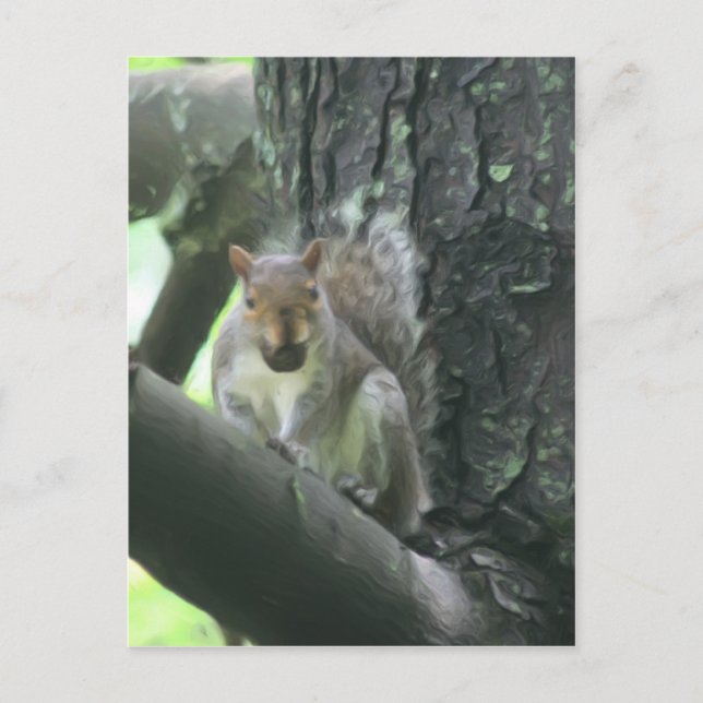 Postal Ardilla En La Postcarta De Arte Animal De Árbol (Anverso)