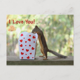 Postal Ardilla que mira la caja interior del corazón, "te