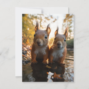 Postal Ardillas de Cute