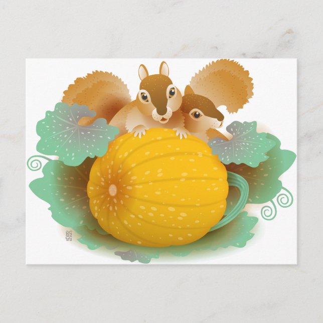 Postal ardillas en el parche de calabaza