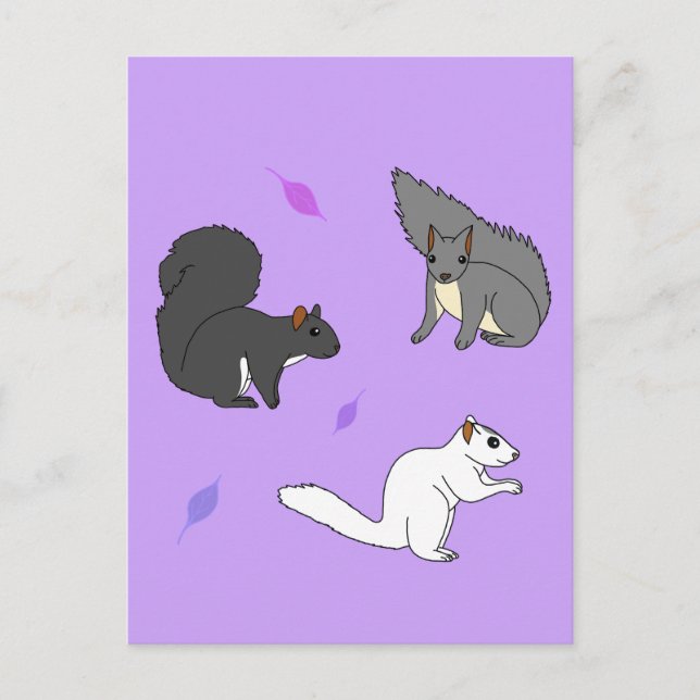 Postal Ardillas moradas (Anverso)