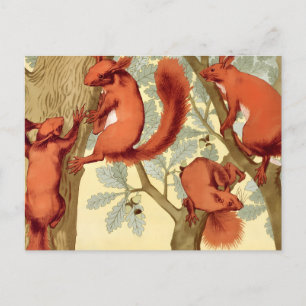 Postal Ardillas rojas vintage naturaleza otoño Verneuil a