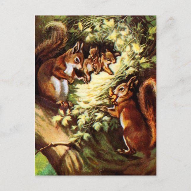 Postal Ardillas vintage (Anverso)