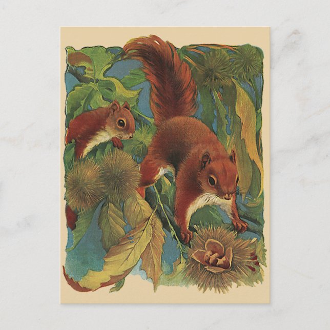 Postal Ardillas vintage, criaturas forestales, animales s (Anverso)