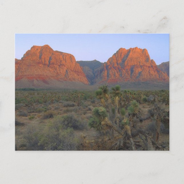 Postal Área de Conservación Nacional del Cañón Red Rock (Anverso)