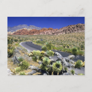 Postal Área de Conservación Nacional Red Rock Canyon, Las