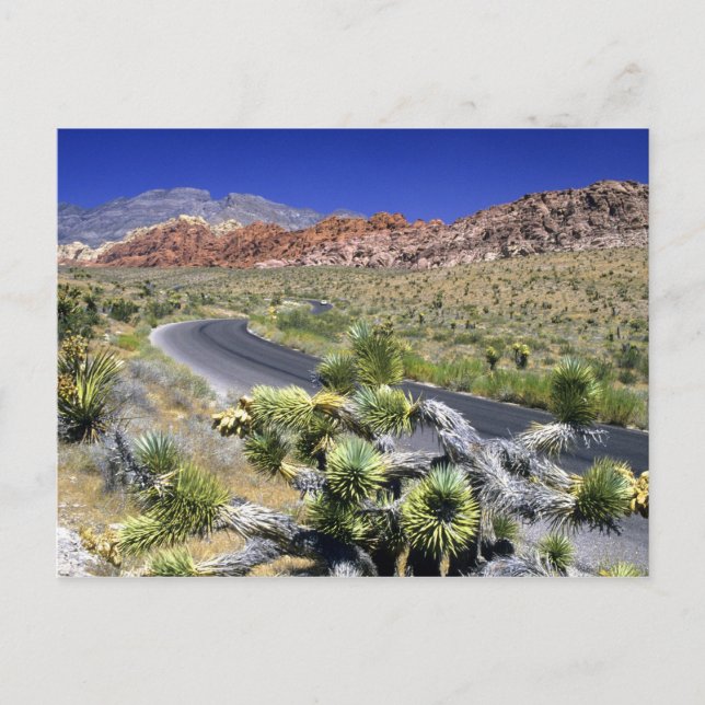 Postal Área de Conservación Nacional Red Rock Canyon, Las (Anverso)
