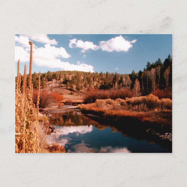Postal Área Nacional Cedar Breaks, Utah (Anverso)