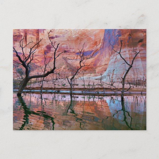 Postal Área Recreativa Nacional Glen Canyon, Utah (Anverso)