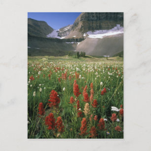 POSTAL ÁREA VIRGEN DE MOUNT TIMPANOGOS, UT, EE. UU.,