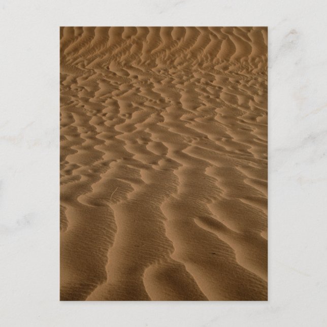 Postal Arena (Anverso)