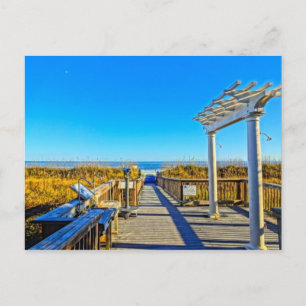 Postal ¡Arena de avena marina y surf! Hilton Head Island 