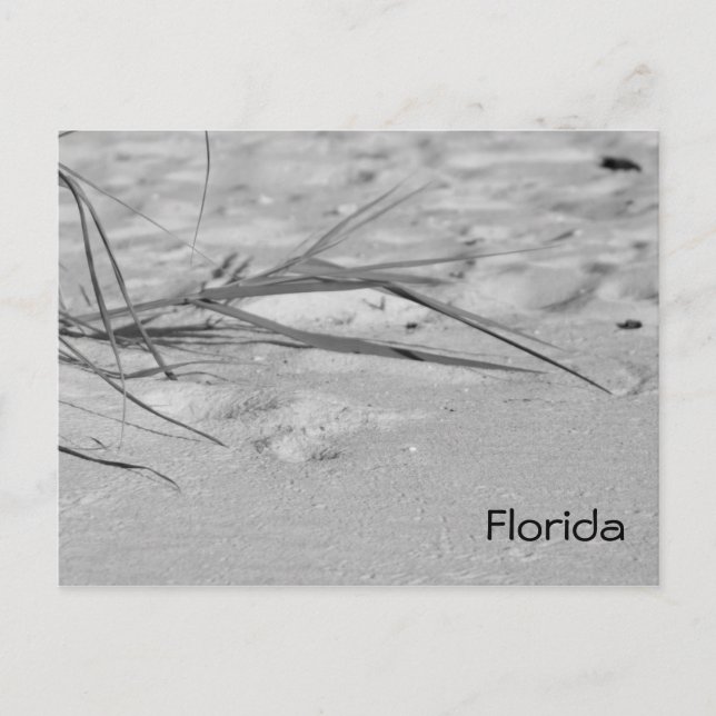 Postal Arena de Florida (Anverso)