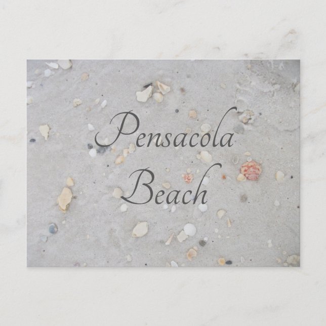 Postal Arena de playa de Pensacola, conchas, Pensacola, F (Anverso)
