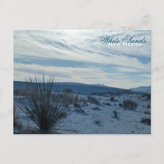 Postal Arenas Blancas Nuevo Desierto de México Dunas de A