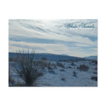 Arenas Blancas Nuevo Desierto de México Dunas de A