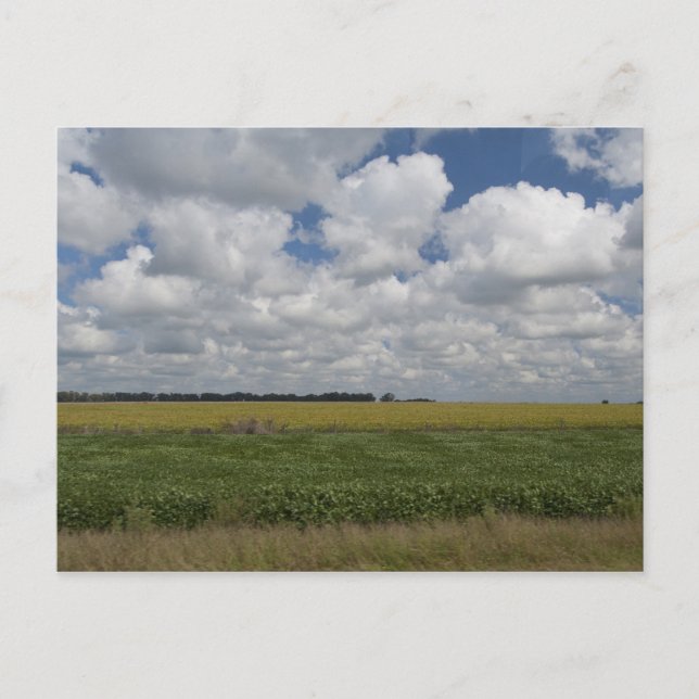 Postal Argentina, Buenos Aires, San Antonio de Areco. (Anverso)