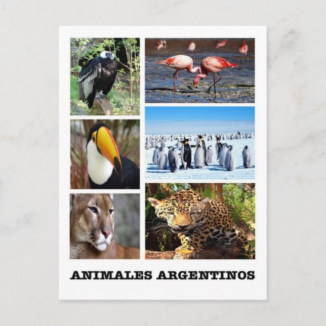 Postal Argentina: Mosaico Animales Argentinos (Anverso)