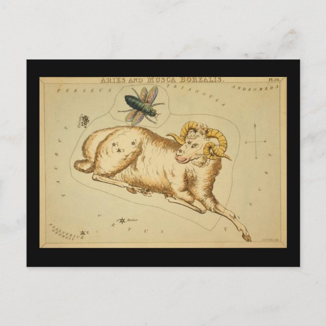 Postal Aries Postcard (Anverso)
