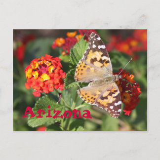 Postal Arizona