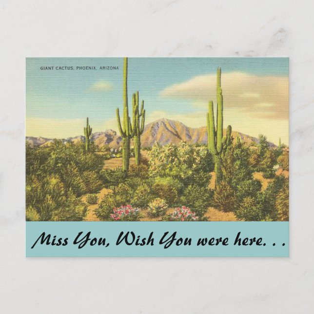 Postal Arizona, Cactus gigante (Anverso)