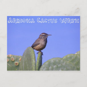 Postal Arizona Cactus Wren