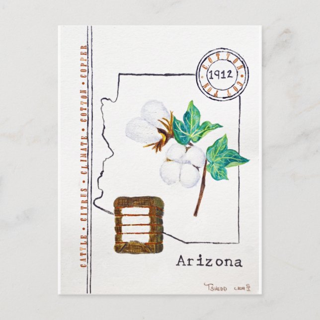 Postal Arizona Cotton (Anverso)
