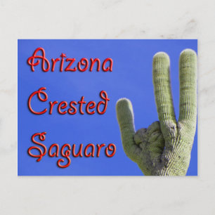 Postal Arizona Crested Saguaro