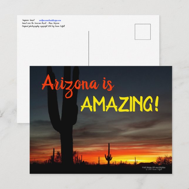 Postal "¡Arizona es asombrosa!" Cactus del desierto de So (Anverso / Reverso)