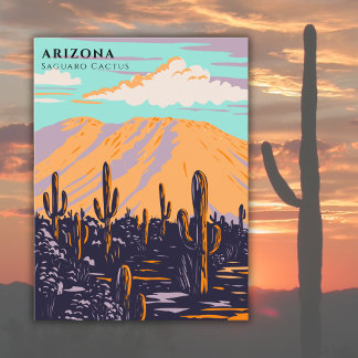 Postal Arizona Estados Unidos Saguaro Cactus Travel Water