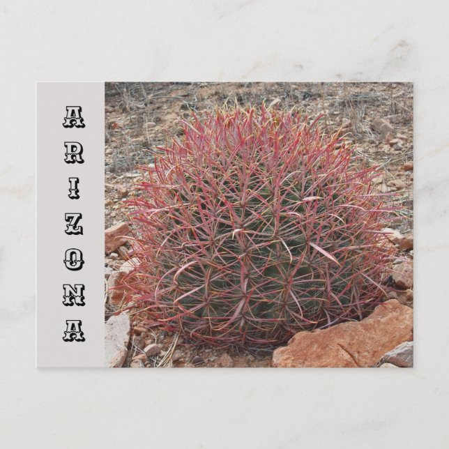 Postal Arizona Southwest State Travel Red Barrel Cactus (Anverso)
