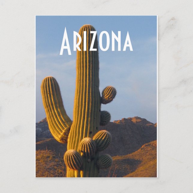 Postal Arizona Sunlit Saguaro (Anverso)