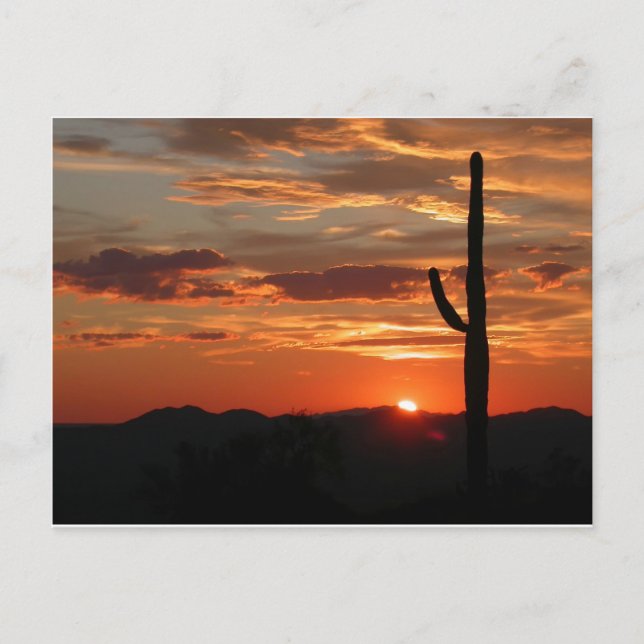 Postal Arizona Sunset - Impresionante (Anverso)