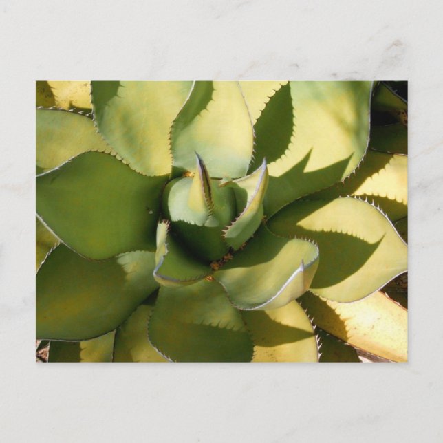 Postal "Arizona verde" (Anverso)