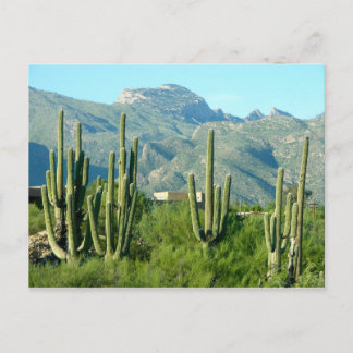 Postal "Arizona verde"