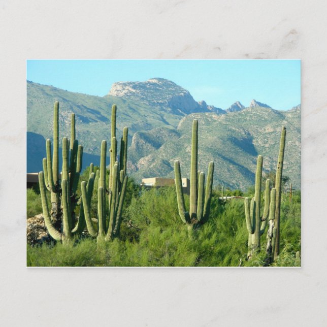 Postal "Arizona verde" (Anverso)