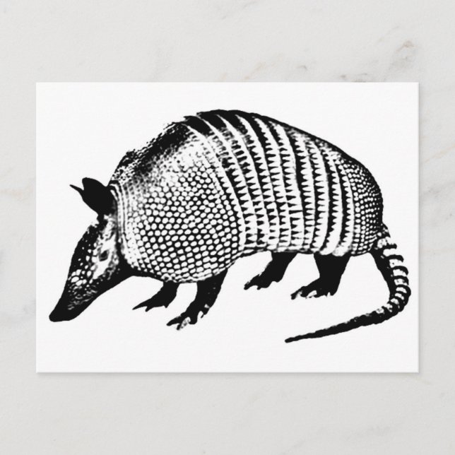 Postal Armadillo (Anverso)