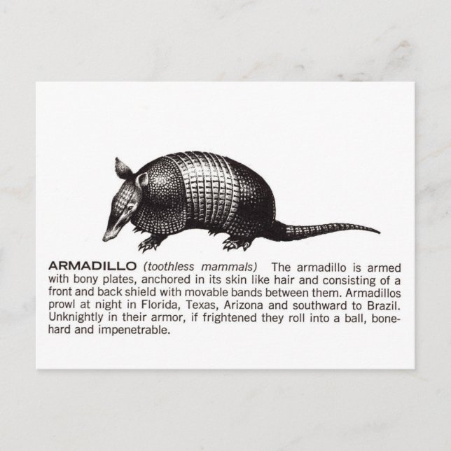 Postal armadillo (Anverso)