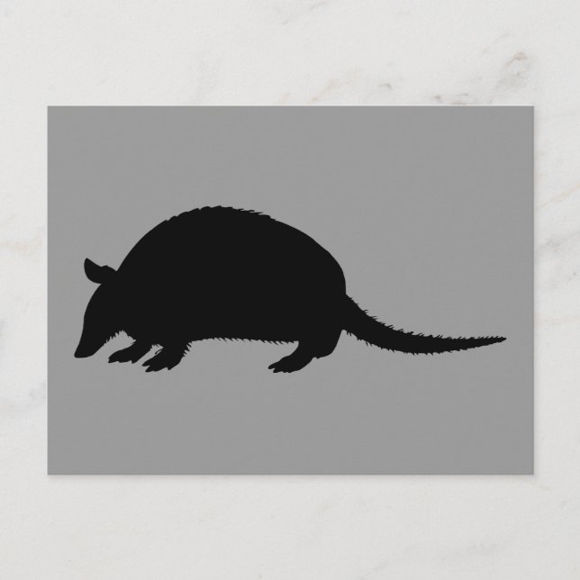 Postal Armadillo (Anverso)