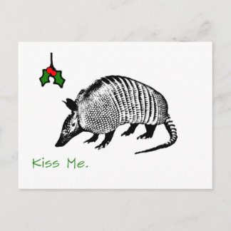 Postal Armadillo me besa