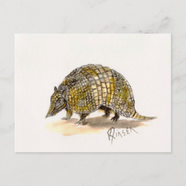 Postal Armadillo Postcard (Anverso)