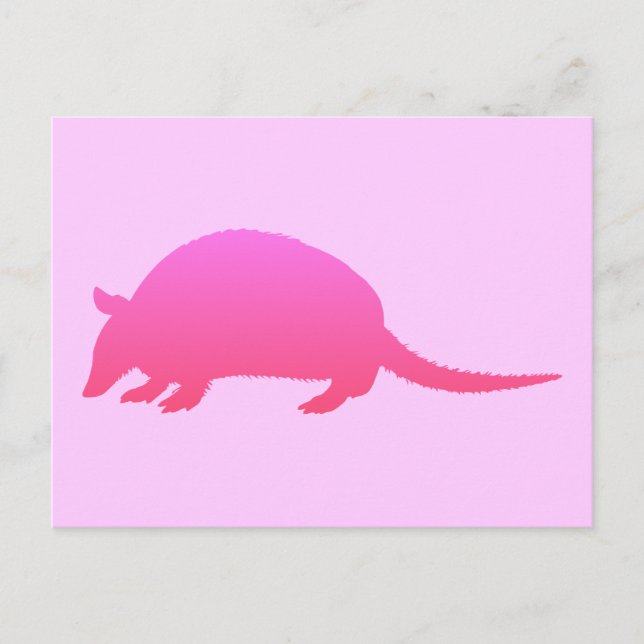 Postal Armadillo rosa (Anverso)