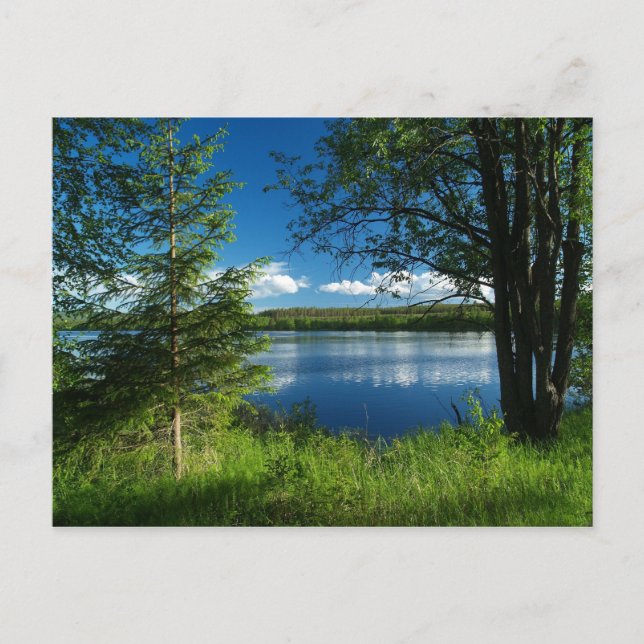 Postal Armonía (Anverso)