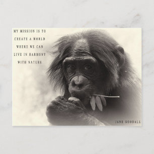 Postal Armonía con la naturaleza