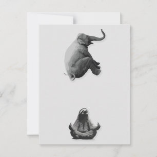 Postal Armonía entre elefante y perezoso meditando