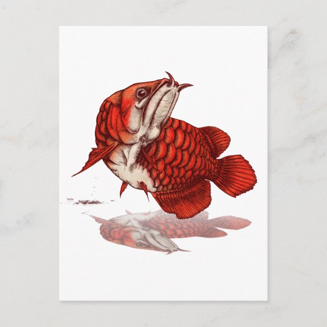 Postal Arowana asiática (Anverso)