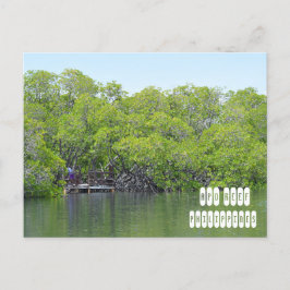 Postal Arrecife Apo de Mindoro Filipinas