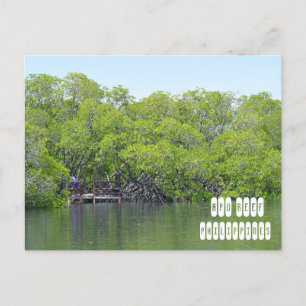 Postal Arrecife Apo de Mindoro Filipinas