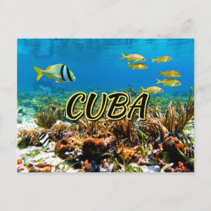 Postal Arrecife de coral de Cuba