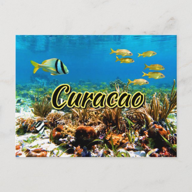 Postal Arrecife de coral de Curacao (Anverso)